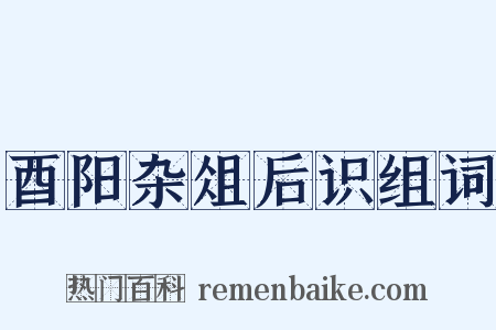 酉阳杂俎后识组词是什么意思的图片